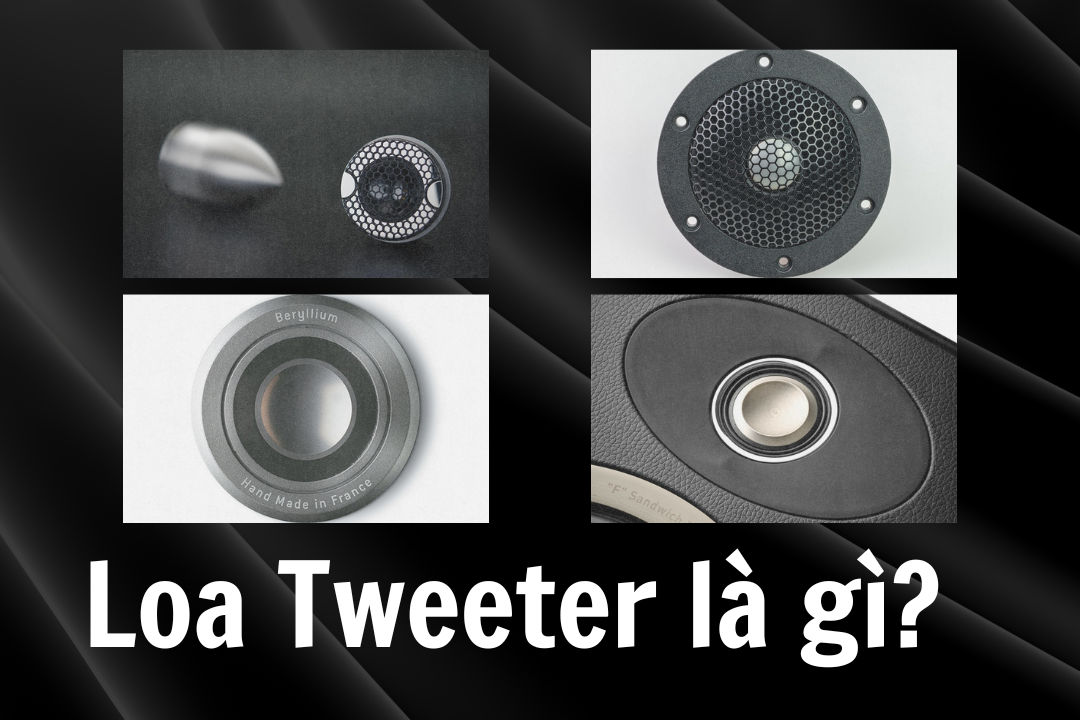 Loa tweeter là gì? Khám phá vai trò quan trọng trong hệ thống âm thanh | Audio Hoàng Hải