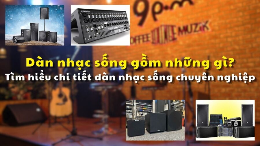 tim hieu chi tiet dan nhac song