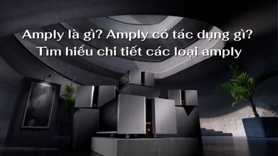 amply la gi amply co tac dung gi