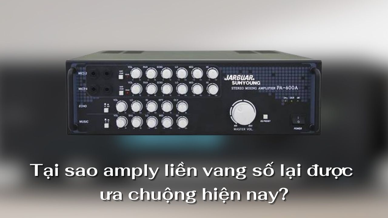 amply liền vang số được ưa chuộng