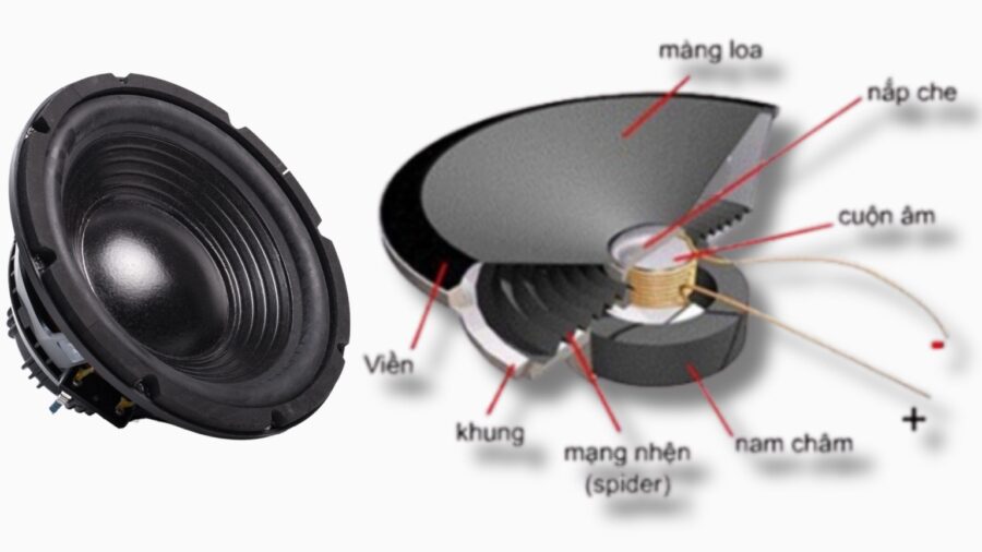 Cấu tạo của loa mid low