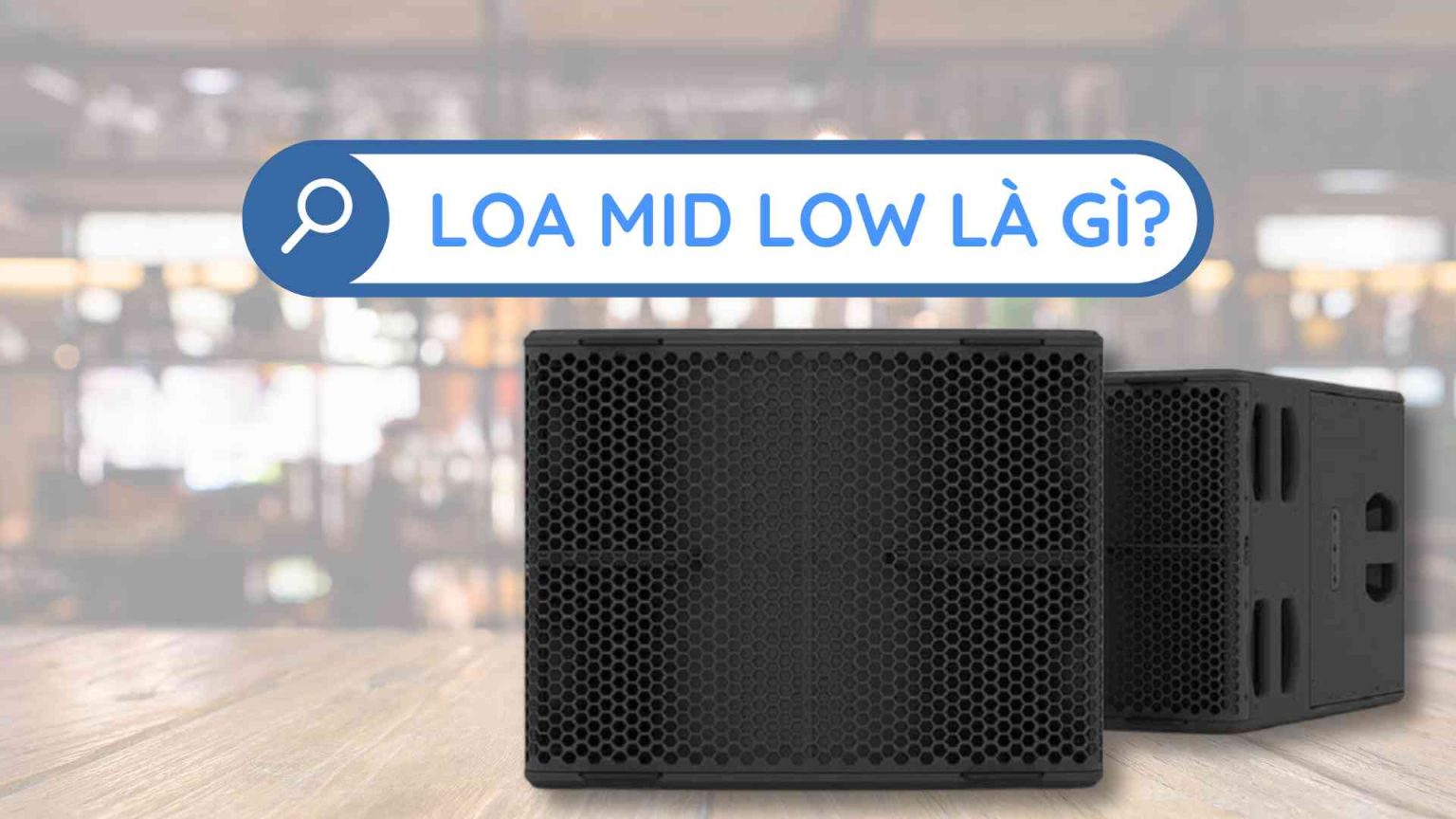 Loa Mid Low là gì? Tại sao nên sử dụng loa mid low trong dàn âm thanh