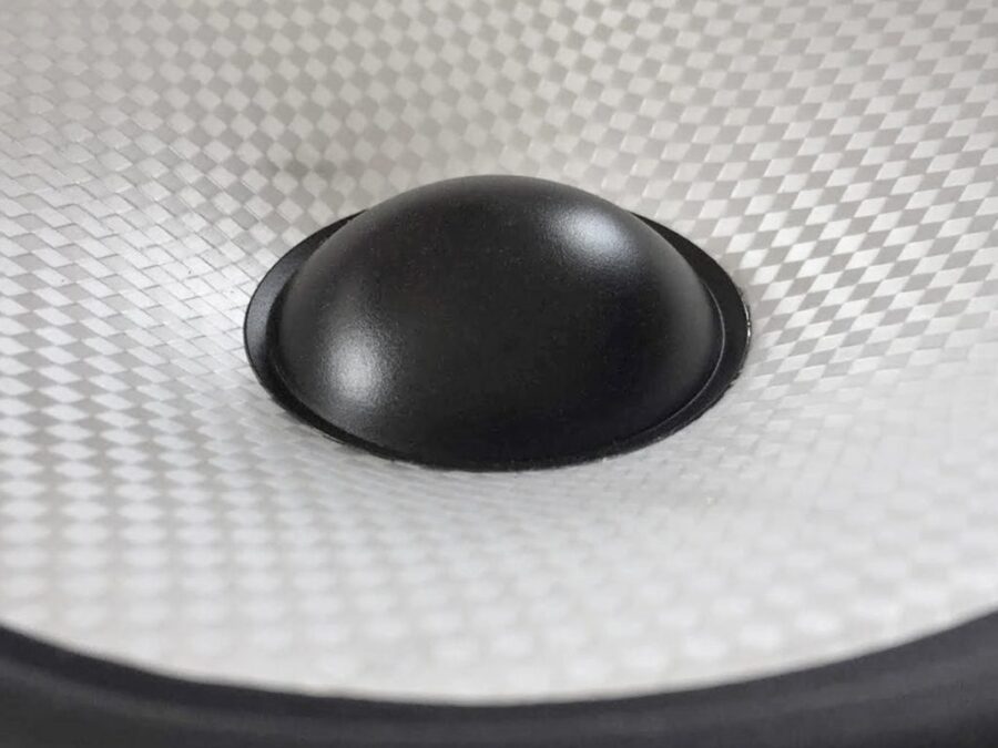 Màng loa trong củ loa