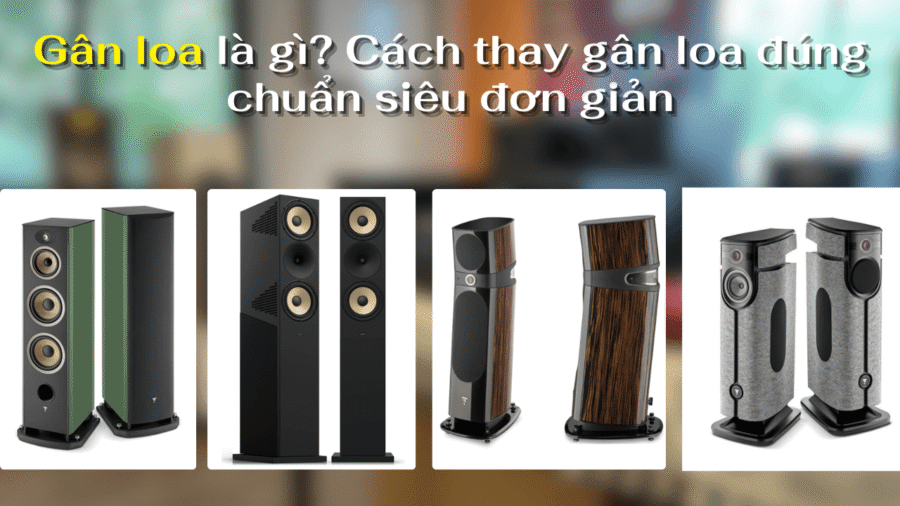 Cách thay gân loa đúng chuẩn
