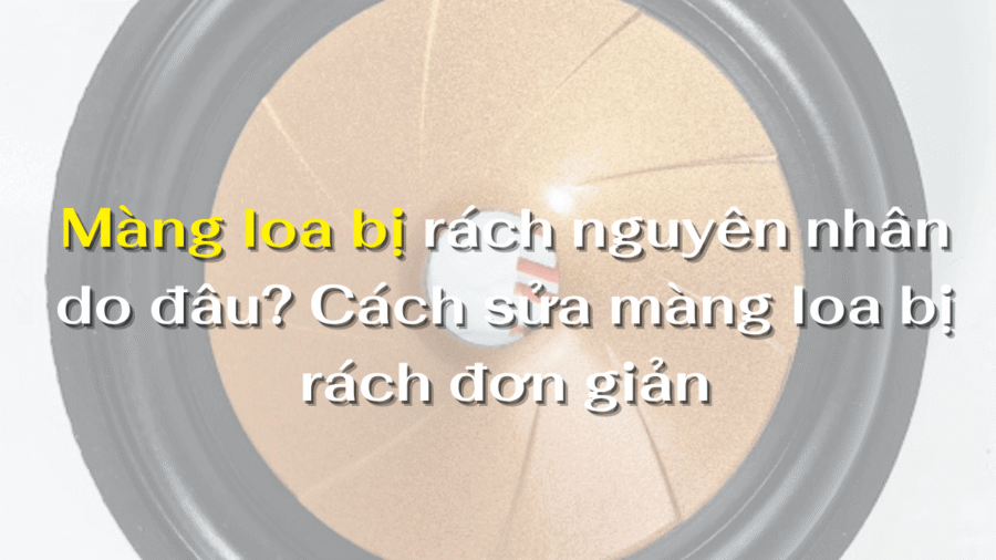 Màng loa bị rách nguyên nhân do đâu