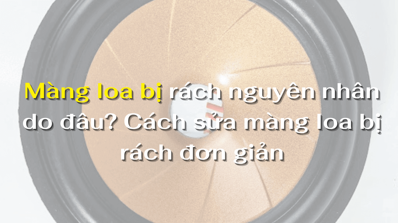 Màng loa bị rách nguyên nhân do đâu? Cách sửa màng loa bị rách đơn giản