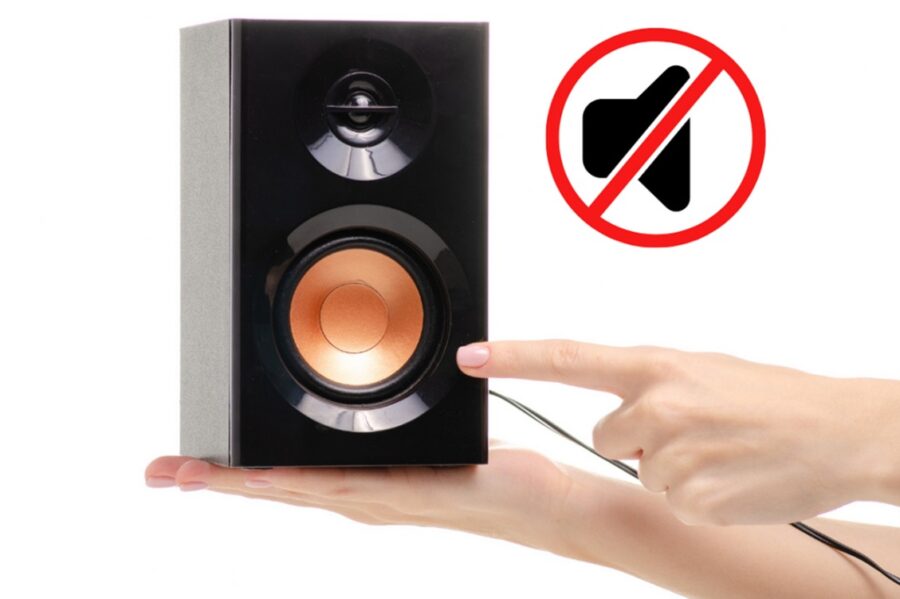 tình trạng loa karaoke bị mất tiếng